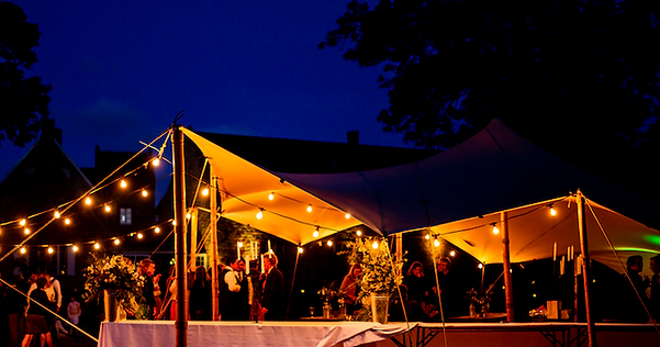 Tonnelle avec verdure et guirlandes